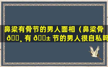 鼻梁有骨节的男人面相（鼻梁骨 🕸 有 🐱 节的男人很自私吗）